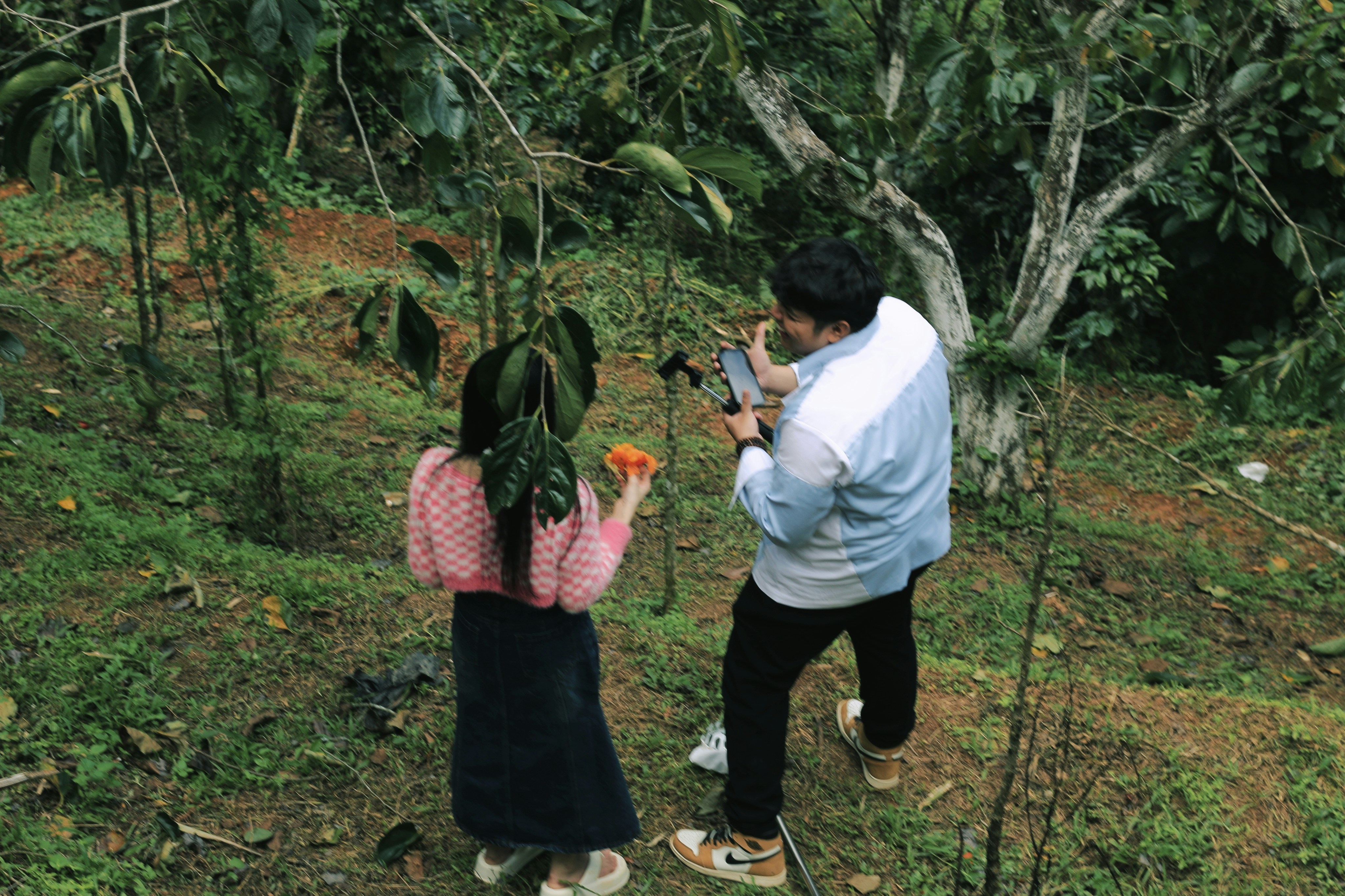 Program Edukasi